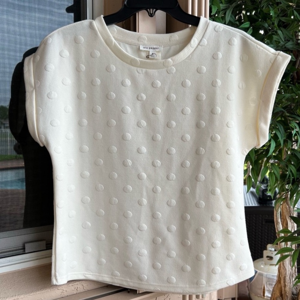 Ivory Swiss Dot Textured Shirt Sleeve Top Sz S